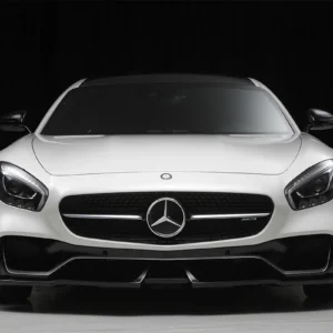 wald-sports-line-black-bison-edition-body-kit-for-mercedes-benz-amg-gt-c190